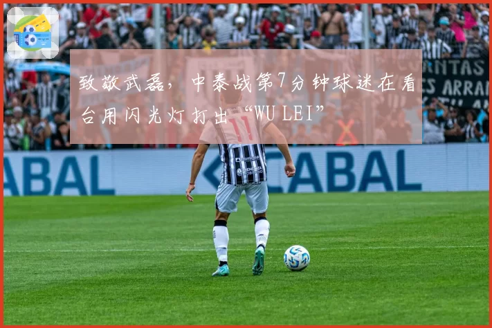 致敬武磊,中泰战第7分钟球迷在看台用闪光灯打出“WU LEI”