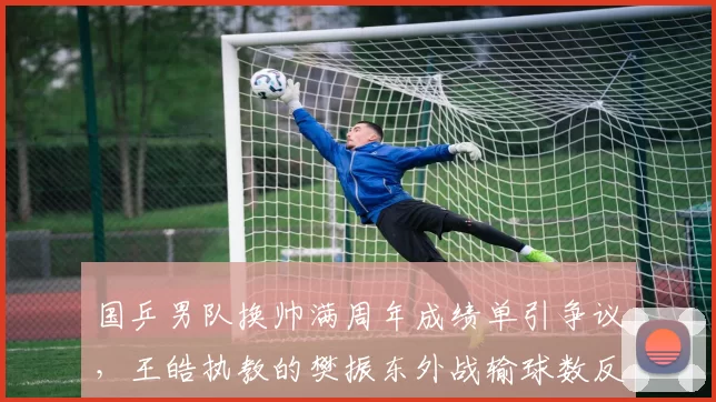 国乒男队换帅满周年成绩单引争议,王皓执教的樊振东外战输球数反超秦志戬时期两倍