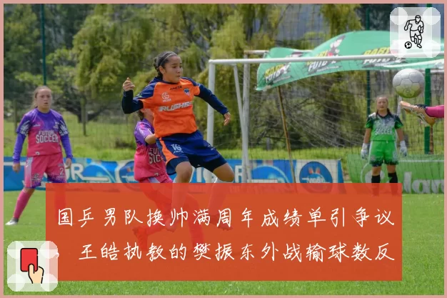 国乒男队换帅满周年成绩单引争议，王皓执教的樊振东外战输球数反超秦志戬时期两倍