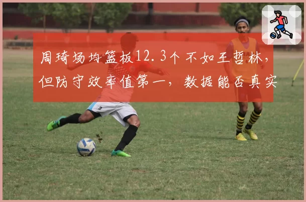 周琦场均篮板12.3个不如王哲林，但防守效率值第一，数据能否真实反映内线统治力？